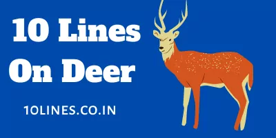 10 Lines On Deer