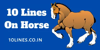 10 Lines On Horse