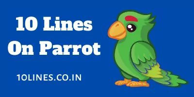 10 Lines On Parrot