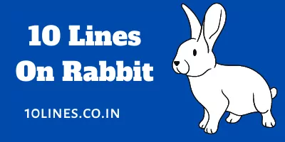 10 Lines On Rabbit In English For Children And Students - 10 Lines