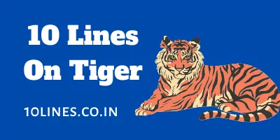 10 Lines On Tiger