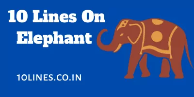 10 Lines on Elephant