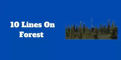 10 Lines On Forest In English