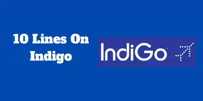 10 Lines On Indigo In English 