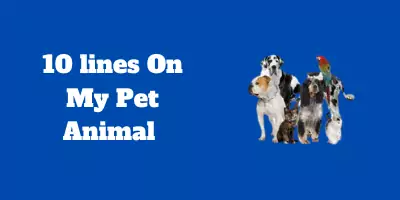 10 lines On My Pet Animal In English For Children And Students - 10 Lines