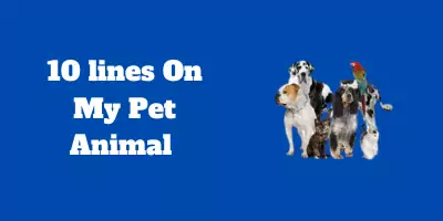 10 lines On My Pet Animal In English For Children And Students - 10 Lines 10 lines On My Pet Animal In English For Children And Students - 10 Lines
