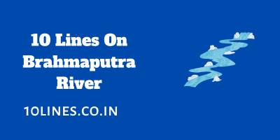 10 Lines On Brahmaputra River