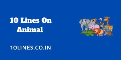 10 Lines On Animal In English For Children And Students 10 Lines On Animal In English