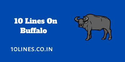 10 Lines On Buffalo In English