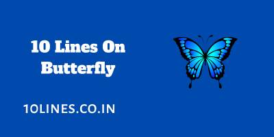 10 Lines On Butterfly In English