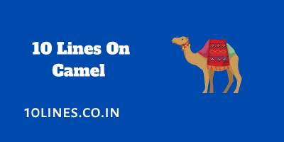 10 Lines On Camel In English