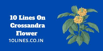 10 Lines On Crossandra Flower In English For Children And Students 10 Lines On Crossandra Flower In English