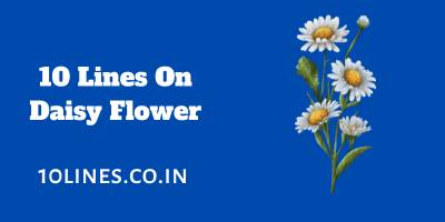 10 Lines On Daisy Flower In English For Children And Students 10 Lines On Daisy Flower In English