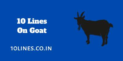 10 Lines On Goat In English