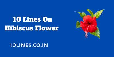 10 Lines On Hibiscus Flower In English