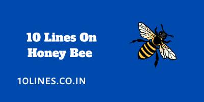 10 Lines On Honey Bee In English