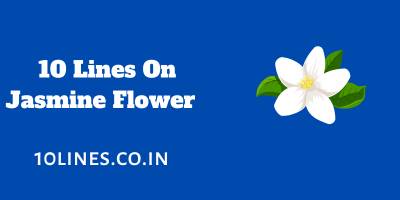 10 Lines On Jasmine Flower In English