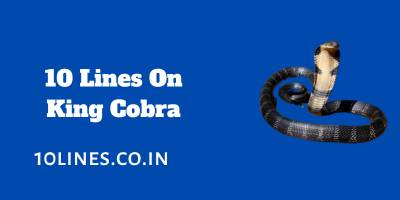 10 Lines On King Cobra In English