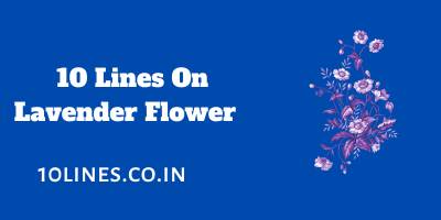 10 Lines On Lavender Flower In English