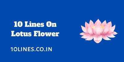 10 Lines On Lotus Flower In English