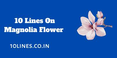 10 Lines On Magnolia Flower In English
