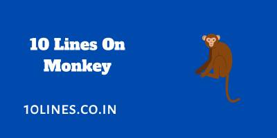 10 Lines On Monkey In English