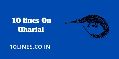 10 lines On Gharial In English For Children And Students 10 lines On Gharial In English