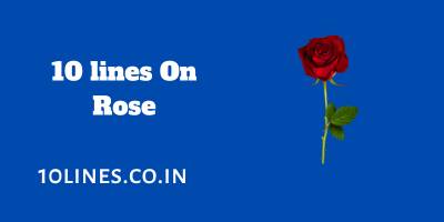 10 lines On Rose In English