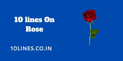 10 lines On Rose In English For Children And Students 10 lines On Rose In English