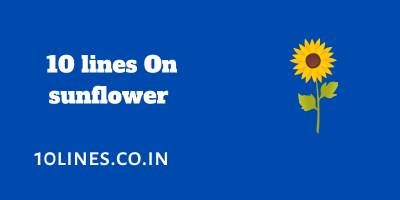 10 lines On Sunflower In English For Children And Students 10 lines On Sunflower In English